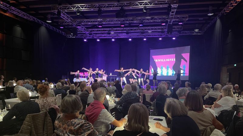 FrivilligFest25 ruba