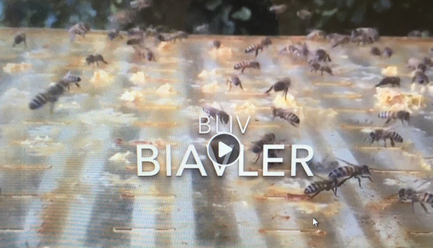 biavler