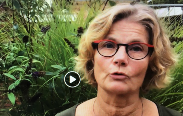 blixen film